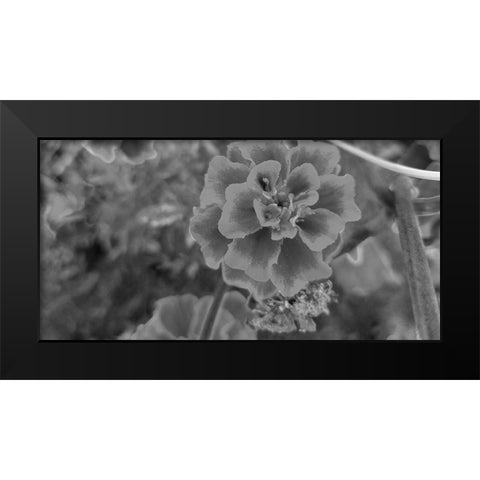 Flow 2 Black Modern Wood Framed Art Print by Phillip, Jamie