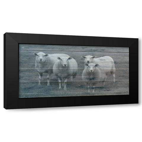 Sheepish 1 Black Modern Wood Framed Art Print by Phillip, Jamie
