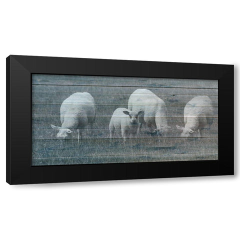 Sheepish 2 Black Modern Wood Framed Art Print by Phillip, Jamie