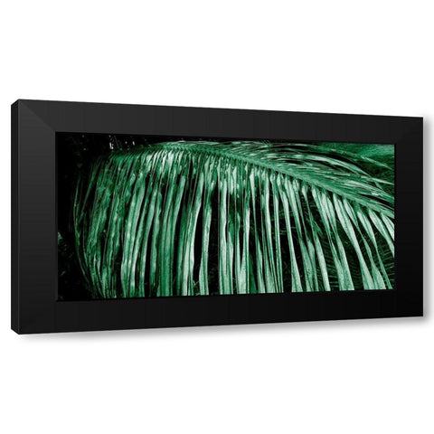 Palm Branch Black Modern Wood Framed Art Print by Phillip, Jamie
