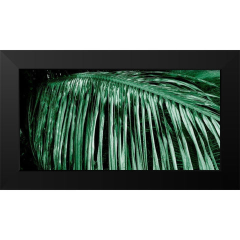 Palm Branch Black Modern Wood Framed Art Print by Phillip, Jamie