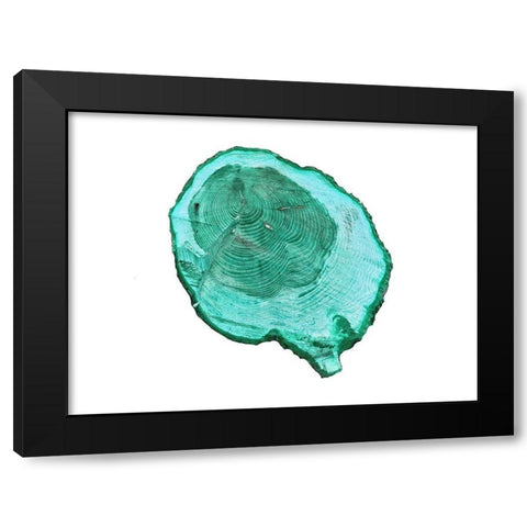 Wood Rings Black Modern Wood Framed Art Print by Phillip, Jamie