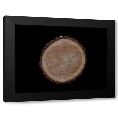 Wood Rings 2 Black Modern Wood Framed Art Print by Phillip, Jamie
