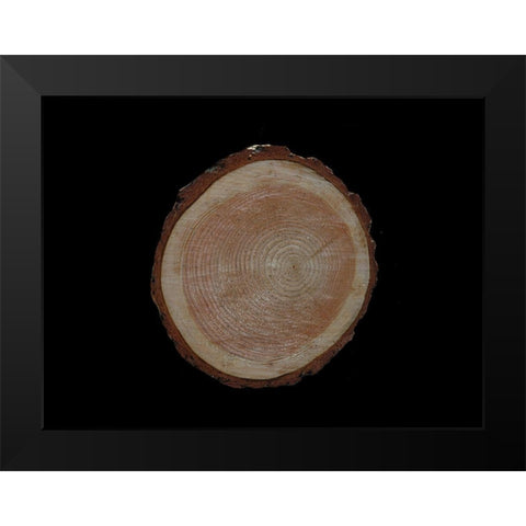 Wood Rings 2 Black Modern Wood Framed Art Print by Phillip, Jamie