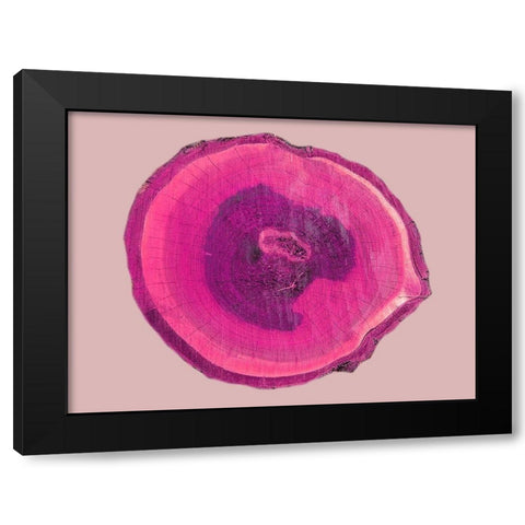 Wood Rings 4 Black Modern Wood Framed Art Print with Double Matting by Phillip, Jamie