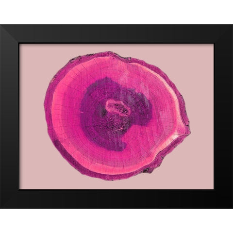 Wood Rings 4 Black Modern Wood Framed Art Print by Phillip, Jamie