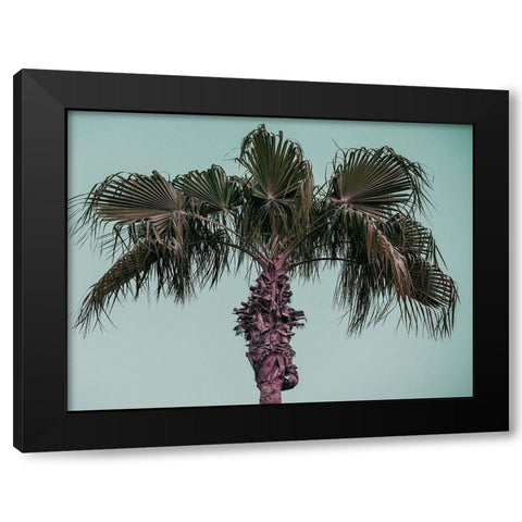 Cocoloco Black Modern Wood Framed Art Print with Double Matting by Phillip, Jamie