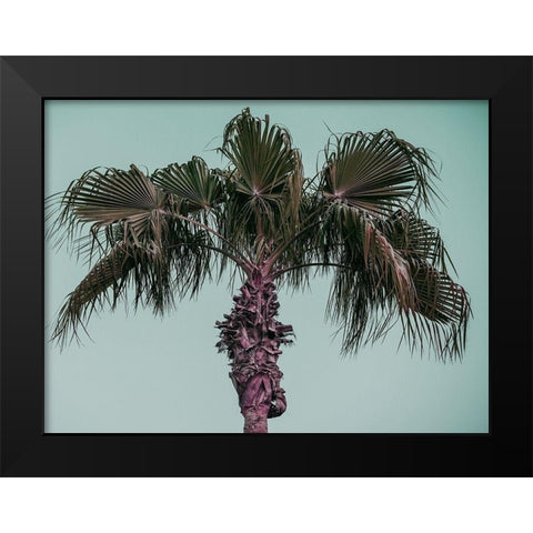 Cocoloco Black Modern Wood Framed Art Print by Phillip, Jamie