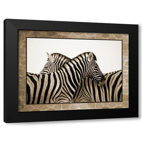 Zebras Black Modern Wood Framed Art Print with Double Matting by Phillip, Jamie