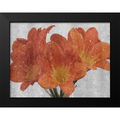 Oranger In The Garden Black Modern Wood Framed Art Print by Phillip, Jamie