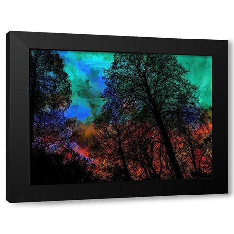 Trees Black Modern Wood Framed Art Print with Double Matting by Phillip, Jamie