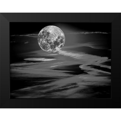 Black Moonlight Black Modern Wood Framed Art Print by Phillip, Jamie