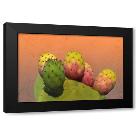 Summer Desert Black Modern Wood Framed Art Print by Phillip, Jamie