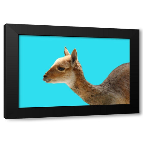 Hello Black Modern Wood Framed Art Print with Double Matting by Phillip, Jamie