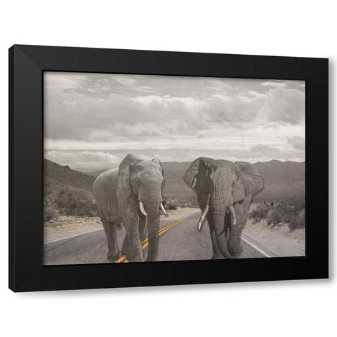 Road Stars Black Modern Wood Framed Art Print with Double Matting by Phillip, Jamie