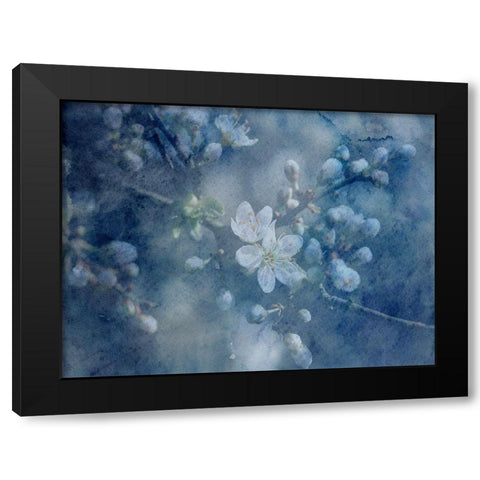 Watercolor Flowers Black Modern Wood Framed Art Print by Phillip, Jamie