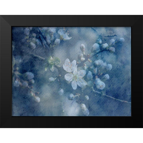Watercolor Flowers Black Modern Wood Framed Art Print by Phillip, Jamie