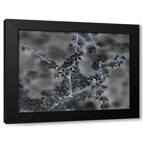 Night Light Black Modern Wood Framed Art Print with Double Matting by Phillip, Jamie