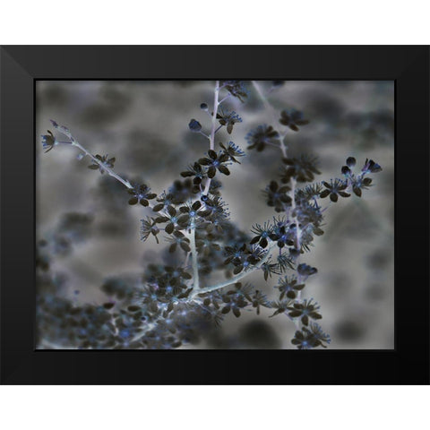 Night Light Black Modern Wood Framed Art Print by Phillip, Jamie