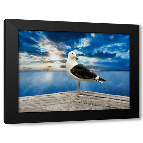 Ocean Bird Black Modern Wood Framed Art Print by Phillip, Jamie