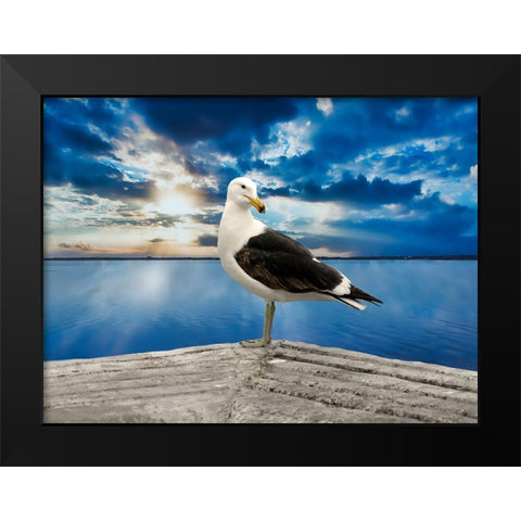 Ocean Bird Black Modern Wood Framed Art Print by Phillip, Jamie