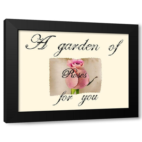 Pink Rose Black Modern Wood Framed Art Print by Phillip, Jamie