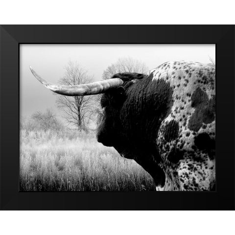 Bull On The Farm Black Modern Wood Framed Art Print by Phillip, Jamie