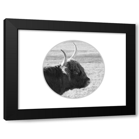 Farm Animal Black Modern Wood Framed Art Print by Phillip, Jamie