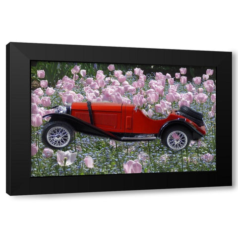 Flower Car Black Modern Wood Framed Art Print by Phillip, Jamie