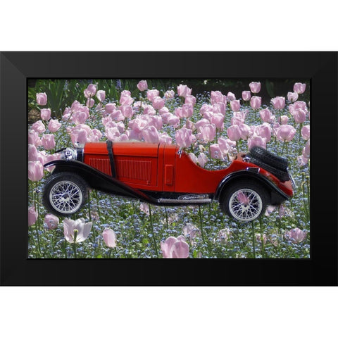 Flower Car Black Modern Wood Framed Art Print by Phillip, Jamie