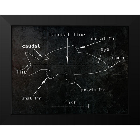 Fish Black Modern Wood Framed Art Print by Phillip, Jamie