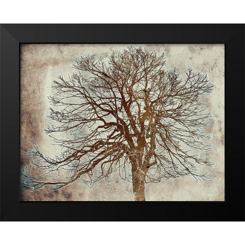 Tree Black Modern Wood Framed Art Print by Phillip, Jamie