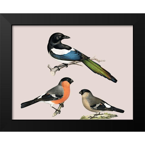 Birds Black Modern Wood Framed Art Print by Phillip, Jamie