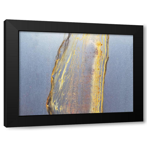 Honeycomb Black Modern Wood Framed Art Print with Double Matting by Phillip, Jamie