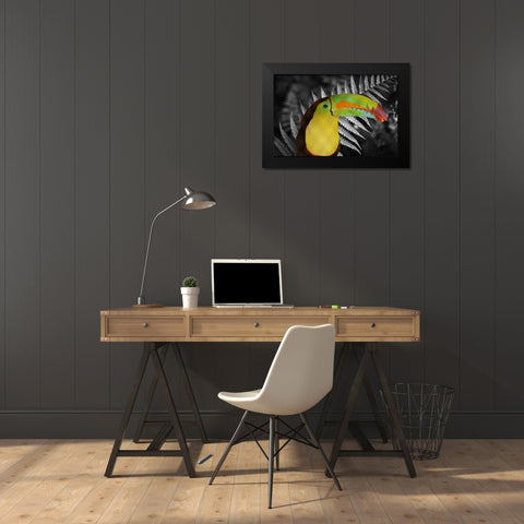 Toucan Black Black Modern Wood Framed Art Print by Phillip, Jamie