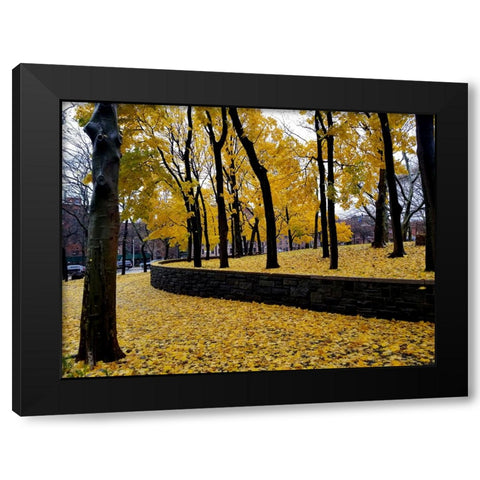Silent Nature 2 Black Modern Wood Framed Art Print by Phillip, Jamie
