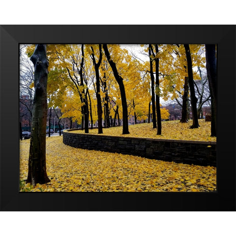 Silent Nature 2 Black Modern Wood Framed Art Print by Phillip, Jamie