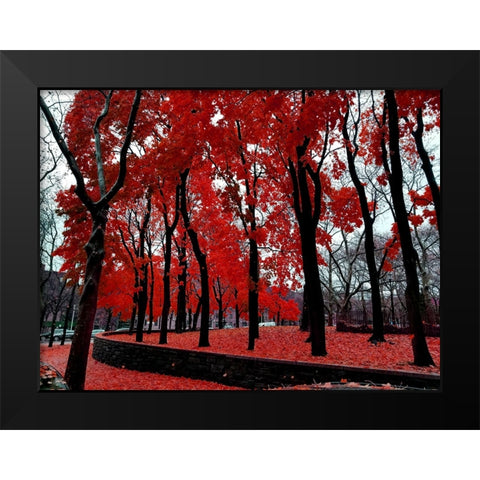 Silent Nature 3 Black Modern Wood Framed Art Print by Phillip, Jamie