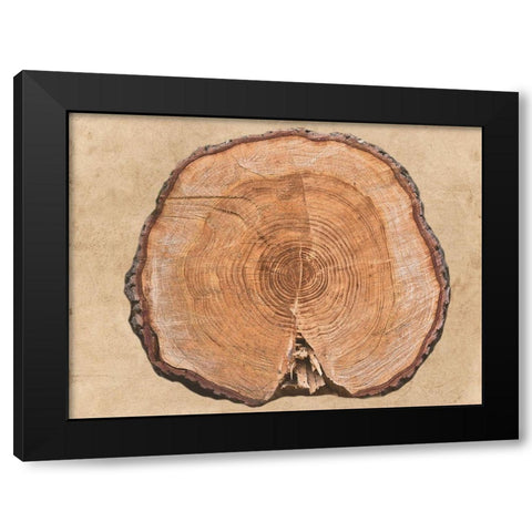 Old Lodge Black Modern Wood Framed Art Print with Double Matting by Phillip, Jamie