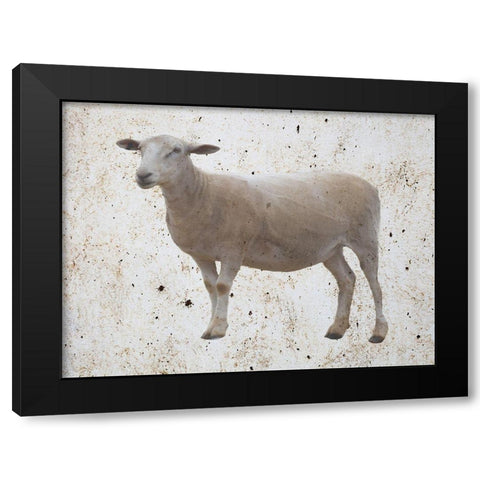 Sheepish Black Modern Wood Framed Art Print by Phillip, Jamie