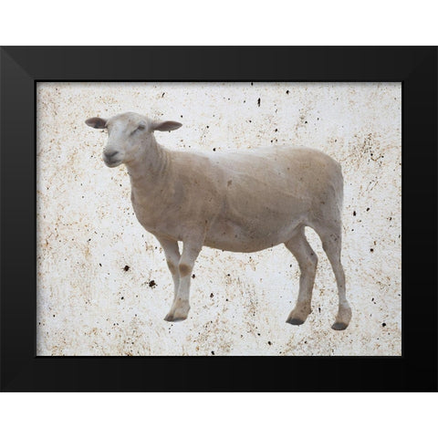 Sheepish Black Modern Wood Framed Art Print by Phillip, Jamie