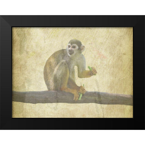 Monkey Around Black Modern Wood Framed Art Print by Phillip, Jamie