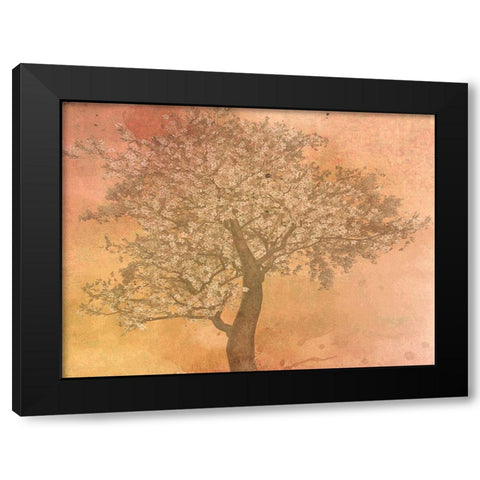 Seasons Black Modern Wood Framed Art Print by Phillip, Jamie