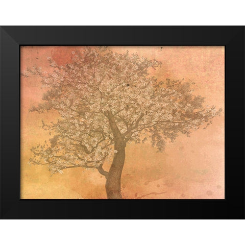 Seasons Black Modern Wood Framed Art Print by Phillip, Jamie
