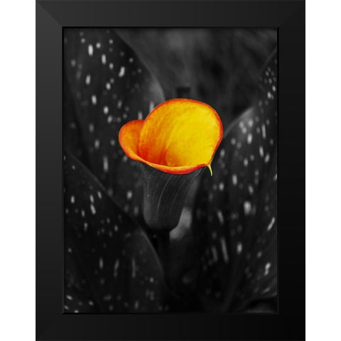 Midnight Glow Black Modern Wood Framed Art Print by Phillip, Jamie