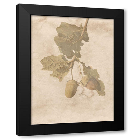 On The Trail Black Modern Wood Framed Art Print by Phillip, Jamie
