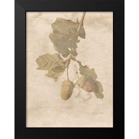 On The Trail Black Modern Wood Framed Art Print by Phillip, Jamie