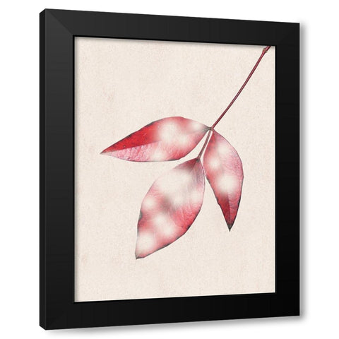 Red Fall Black Modern Wood Framed Art Print with Double Matting by Phillip, Jamie