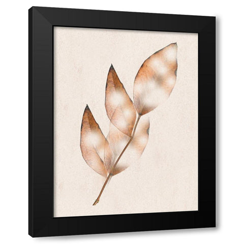Brown Fall Black Modern Wood Framed Art Print with Double Matting by Phillip, Jamie