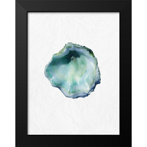Oyster Shell 1 Black Modern Wood Framed Art Print by Phillip, Jamie
